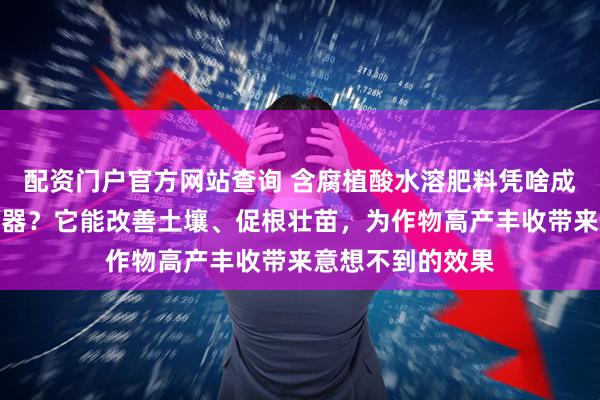 配资门户官方网站查询 含腐植酸水溶肥料凭啥成作物生长秘密武器？它能改善土壤、促根壮苗，为作物高产丰收带来意想不到的效果